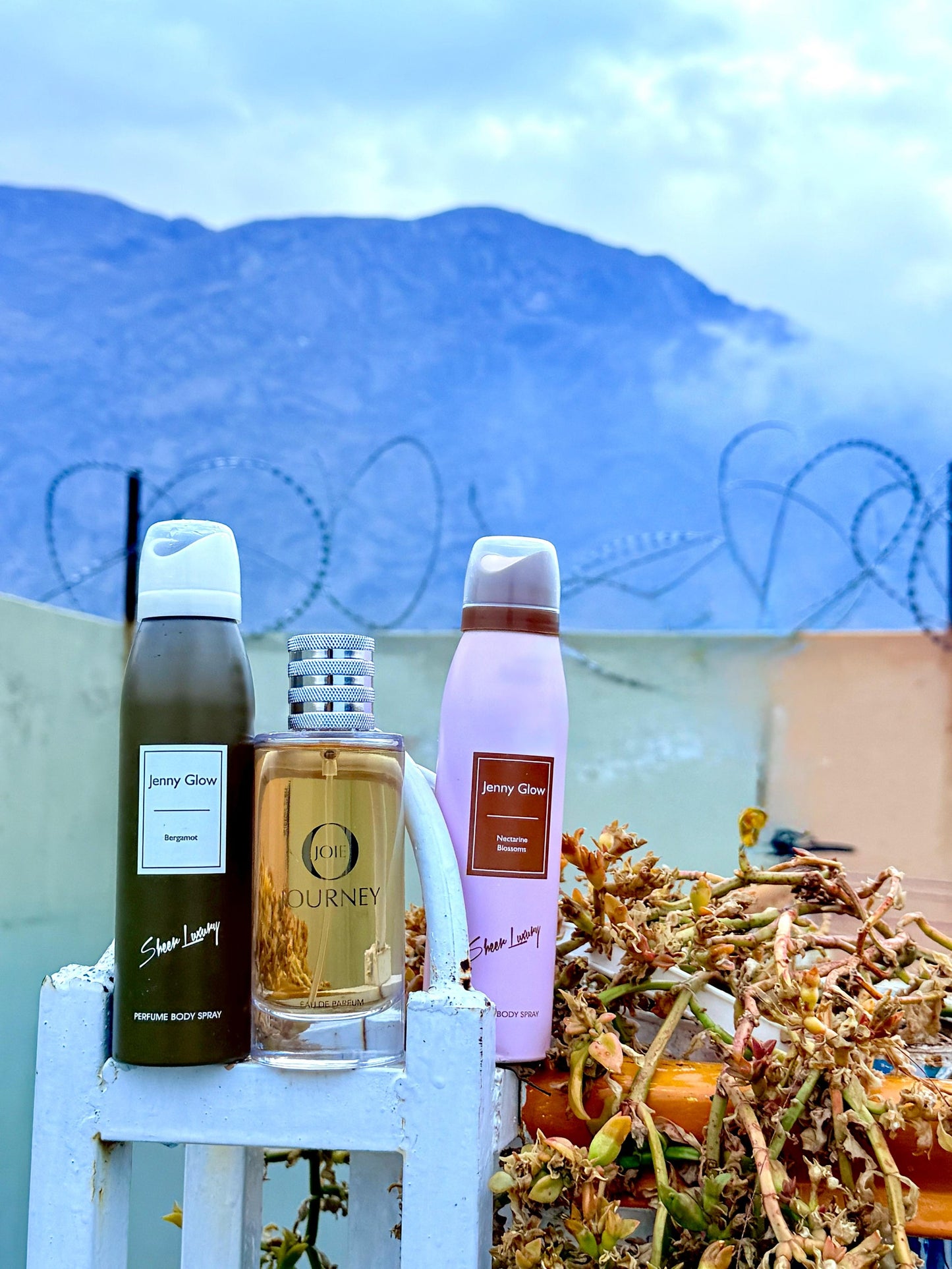 joi journey perfume 2 perfume body spray deal (allow to open)
